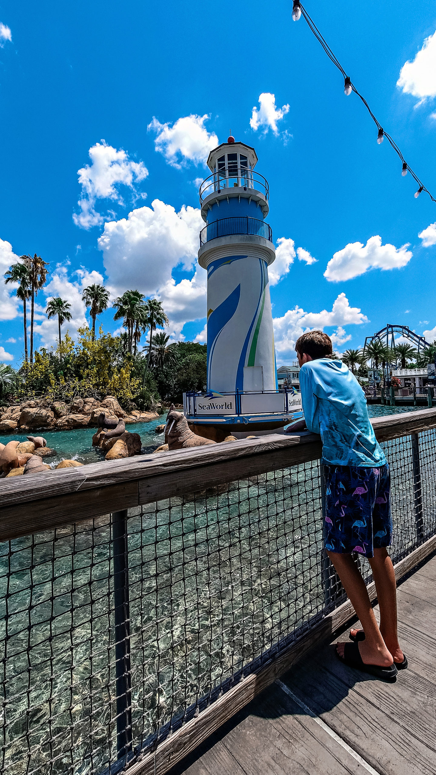 Best Things to Do in Orlando with Teenagers: Visit SeaWorld for Rollercoasters & Sesame Street, featured by top US travel blogger, Chelissima | Things to do in Orlando by popular Atlanta travel blog: image of a teenage boy looking at a walrus and lighthouse display at Sea World. 